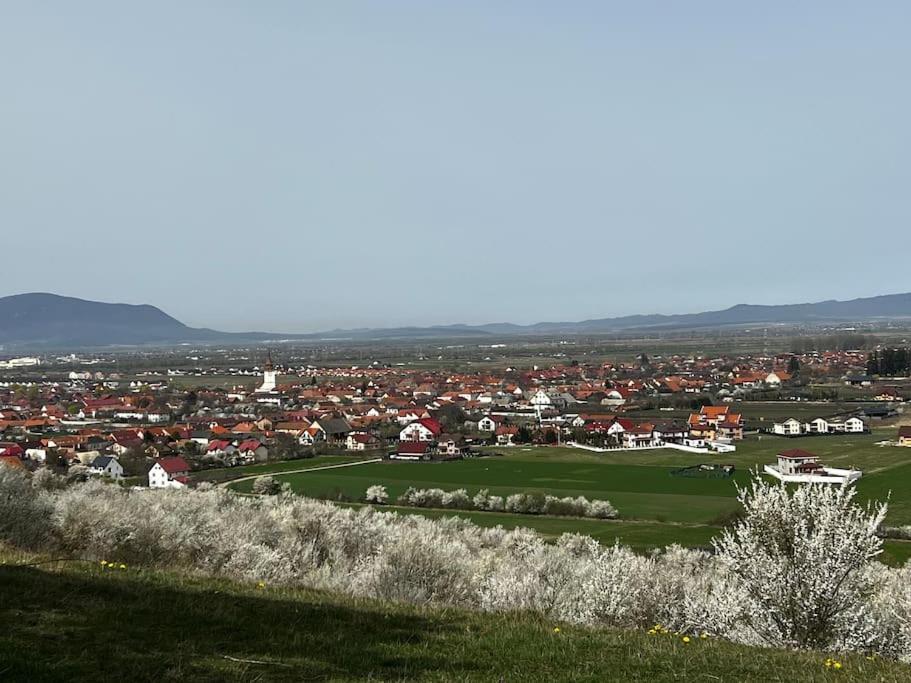 Pineview Lempes Vila Braşov Exterior foto